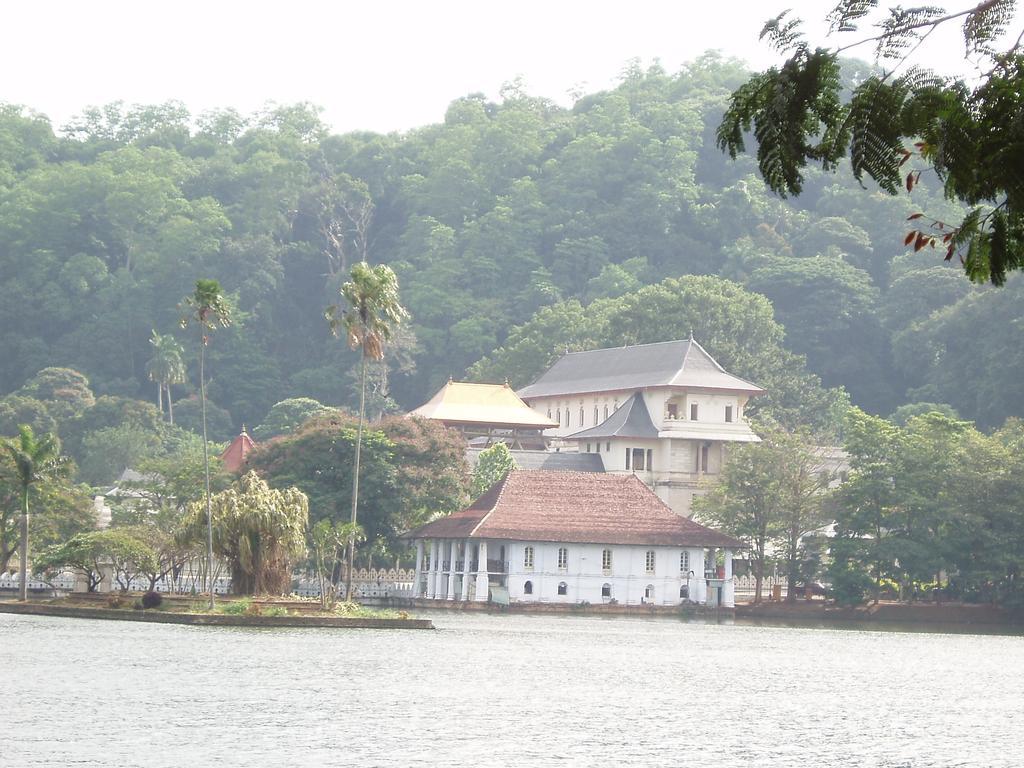 Strathisla Tea Estate Bungalow Матале Екстериор снимка